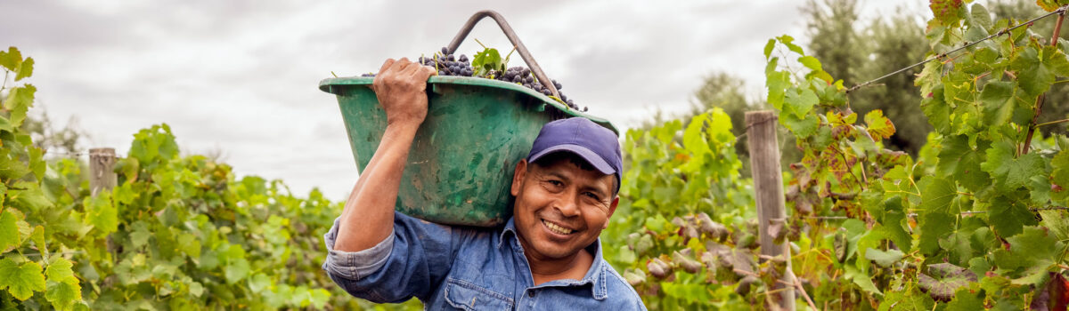 Día del agricultor: 3 herramientas para ayudar a tener una mejor cosecha