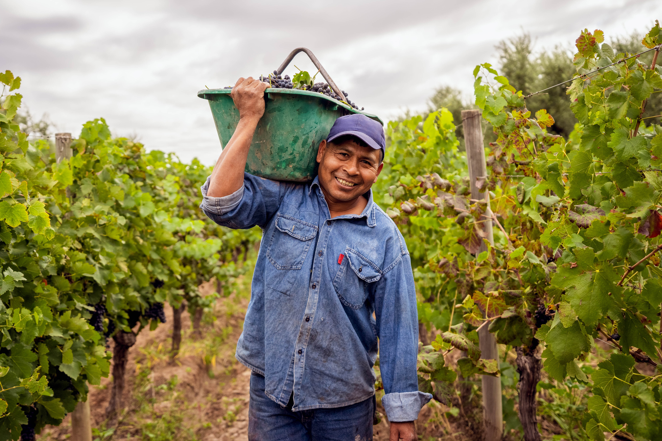 Día del agricultor: 3 herramientas para ayudar a tener una mejor cosecha