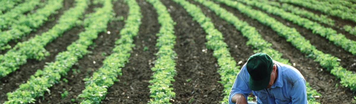 4 sistemas de riego para la agricultura