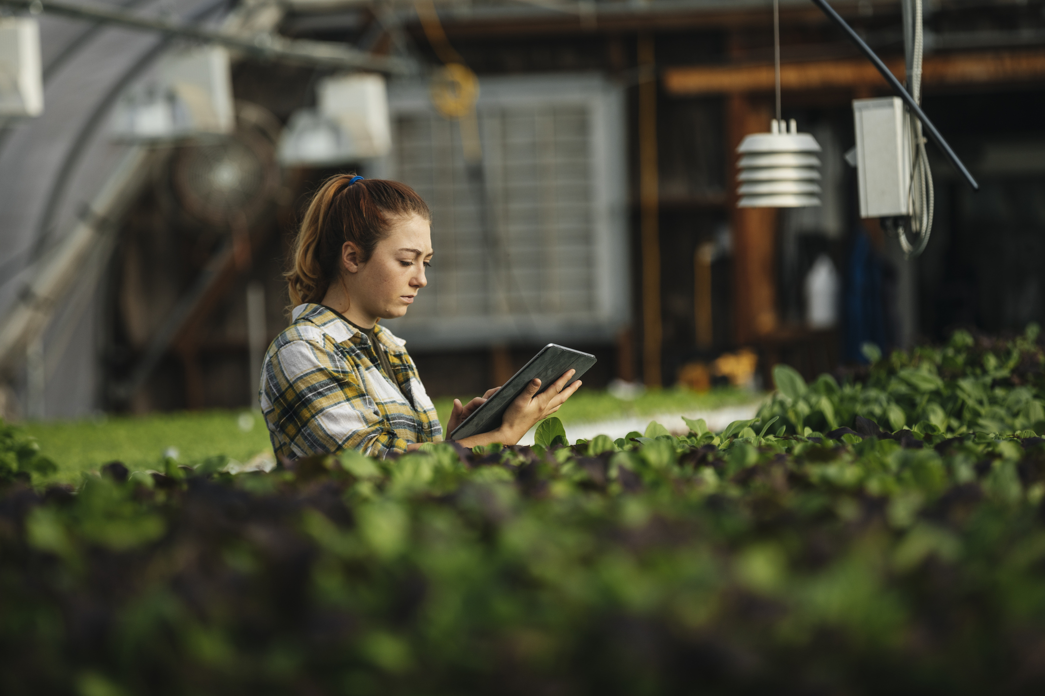 Tendencias en la agroindustria