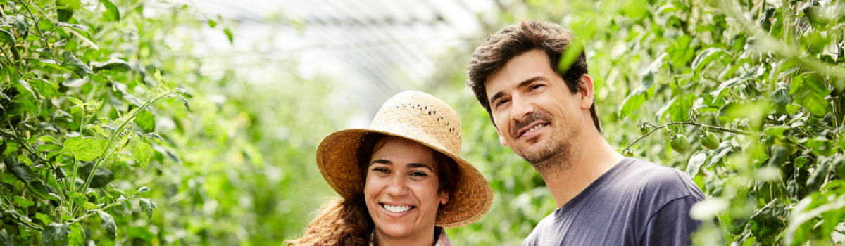 Día del Agrónomo: avances en la agricultura en México