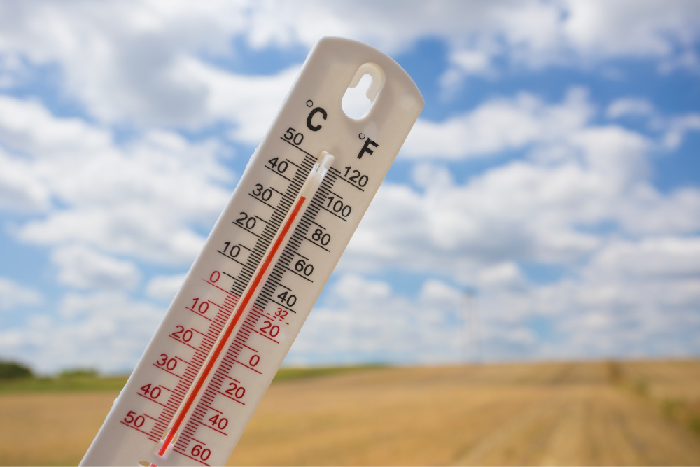 Temperatura en el campo