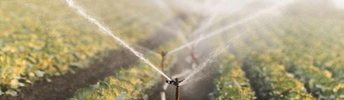 Tendencias actuales en sistemas de riego: Lo que los agricultores necesitan saber