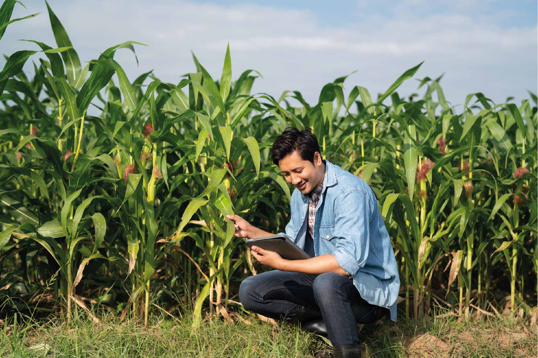 sistemas de riego agricolas