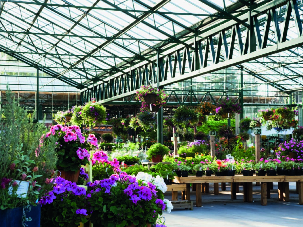 como producir flores en invernadero