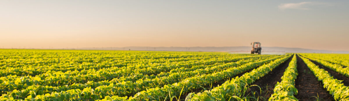 ¿Cuántos litros de agua se necesitan para regar una hectárea?