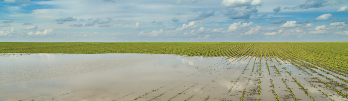 ¿Cómo evitar que la lluvia perjudique el riego de cultivos?