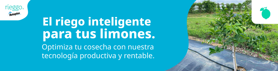riego inteligente para tus limones